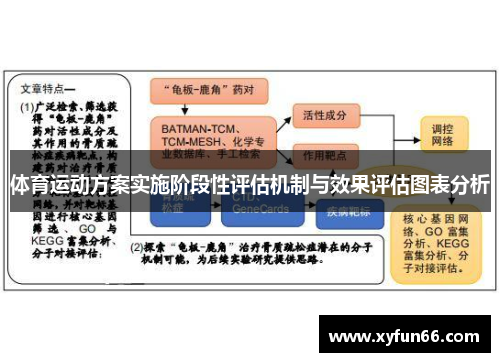 体育运动方案实施阶段性评估机制与效果评估图表分析