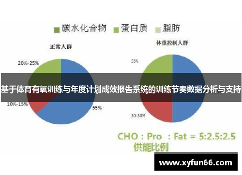 基于体育有氧训练与年度计划成效报告系统的训练节奏数据分析与支持